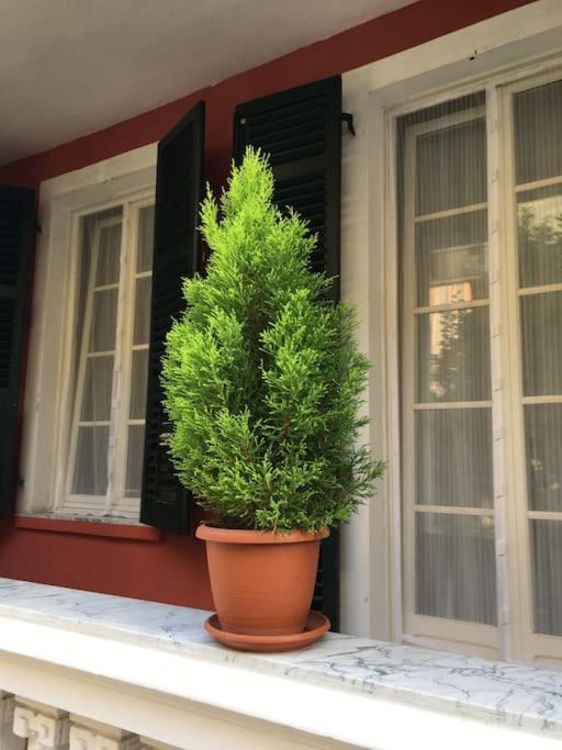 At Home 128 : Little Garden In The City Turin Exteriör bild