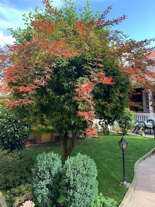 At Home 128 : Little Garden In The City Turin Exteriör bild